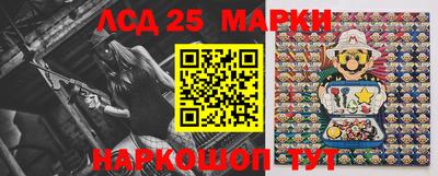 apvp Славгород