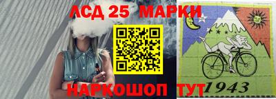 apvp Славгород
