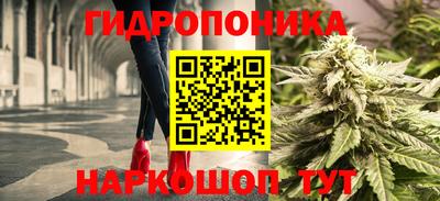 apvp Славгород